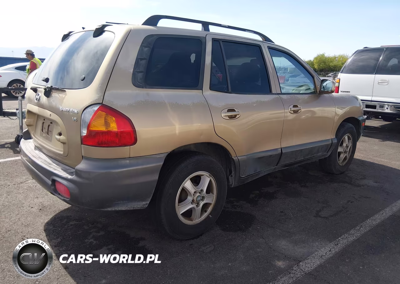 2004 Hyundai Santa Fe Gls VIN:KM8SC13DX4U818477 - 4