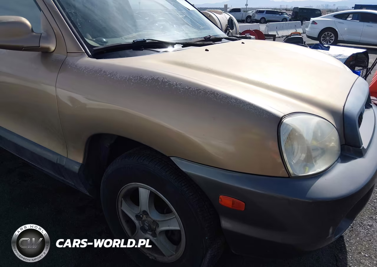 2004 Hyundai Santa Fe Gls VIN:KM8SC13DX4U818477 - 6