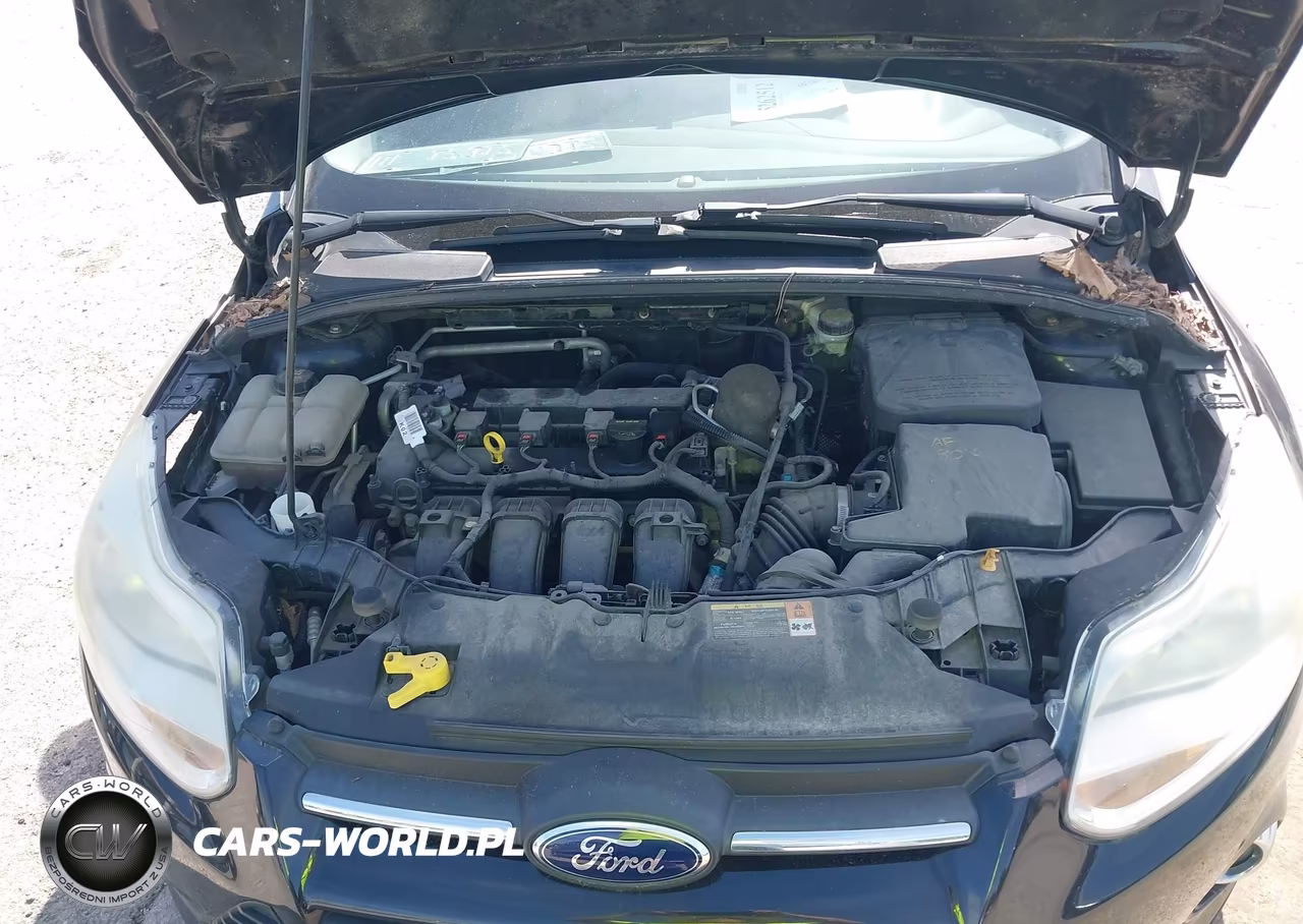 2014 Ford Focus Se VIN:1FADP3F2XEL154797 - 10