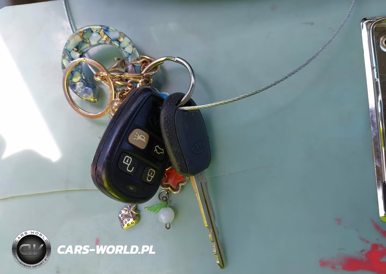 2006 Kia Spectra Ex-Lx-Sx VIN:KNAFE122765275163 - 11