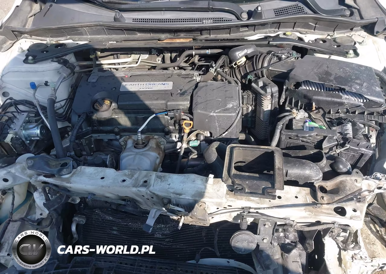 2014 Honda Accord Ex-L VIN:1HGCR2F83EA080828 - 10