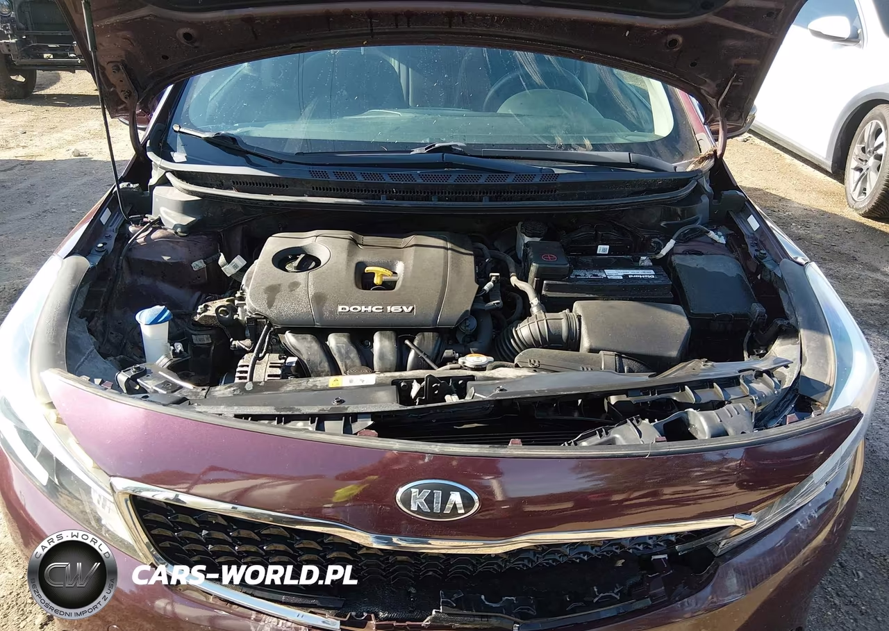 2017 Kia Forte Lx VIN:3KPFL4A7XHE152925 - 10