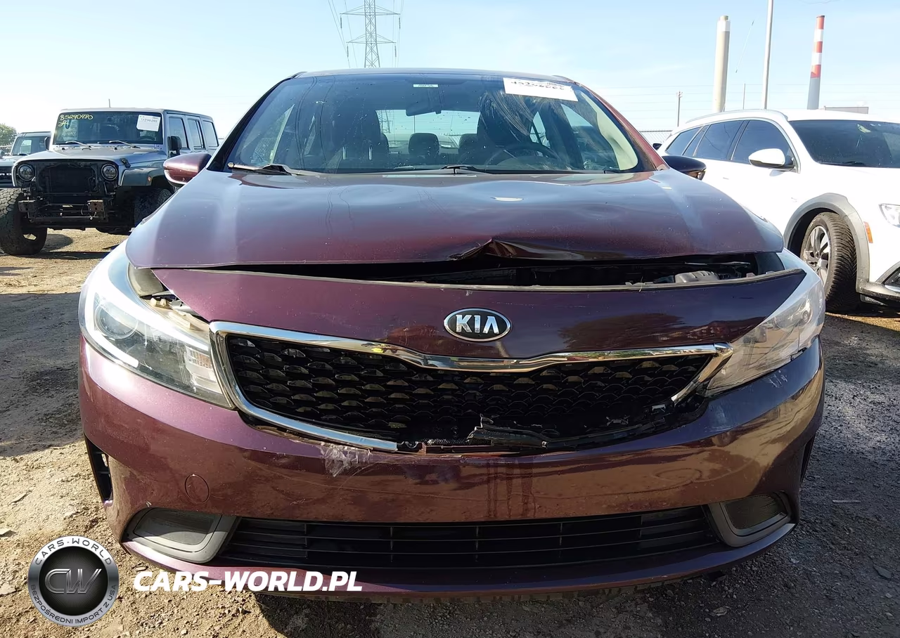 2017 Kia Forte Lx VIN:3KPFL4A7XHE152925 - 12