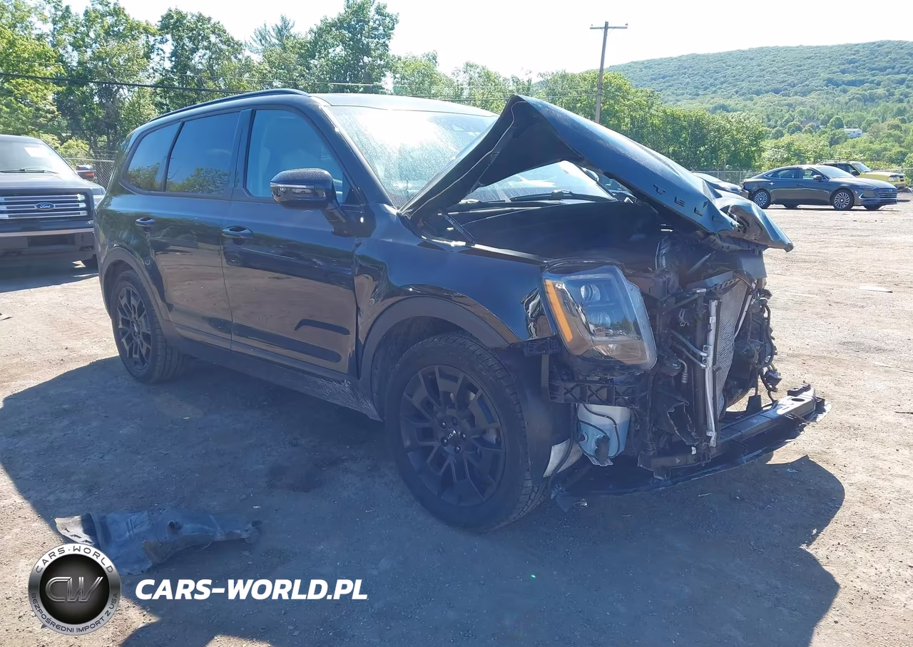 2022 Kia Telluride Sx – zdjęcie 1 z 18