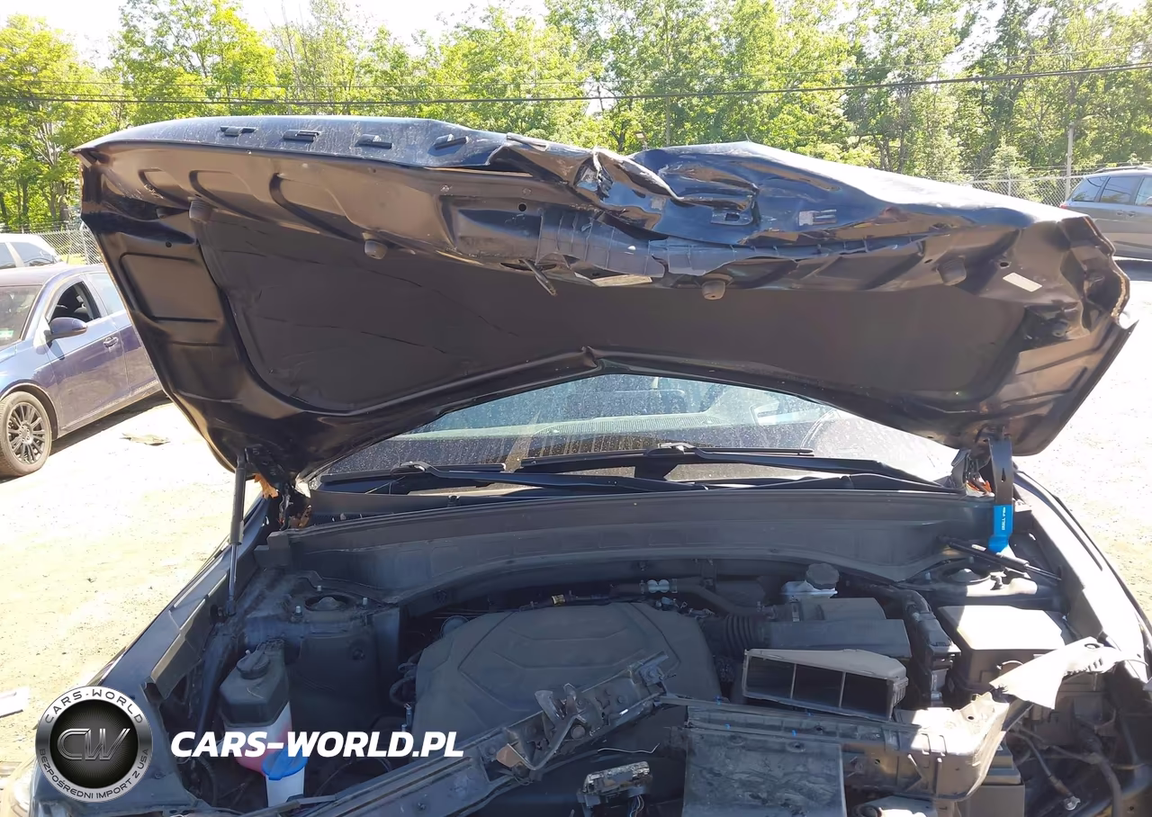 2022 Kia Telluride Sx VIN:5XYP5DHC8NG296344 - 10