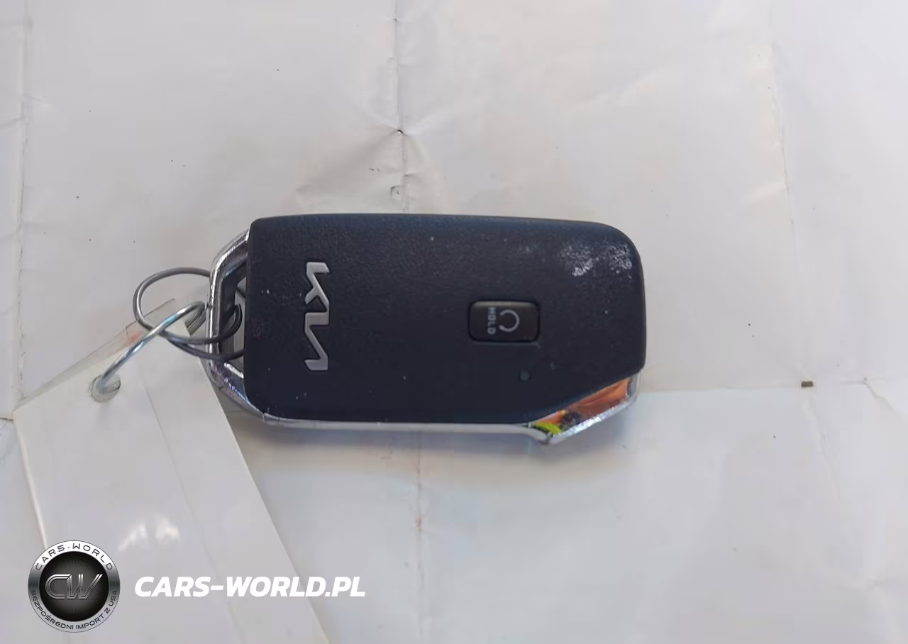 2022 Kia Telluride Sx VIN:5XYP5DHC8NG296344 - 11