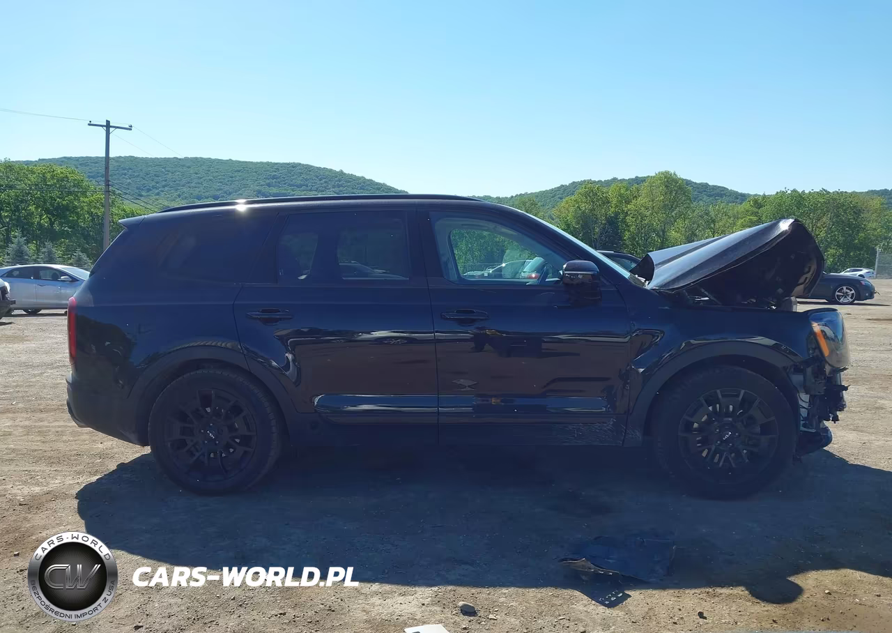 2022 Kia Telluride Sx VIN:5XYP5DHC8NG296344 - 14