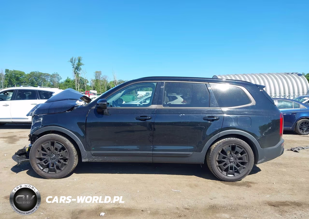 2022 Kia Telluride Sx VIN:5XYP5DHC8NG296344 - 15