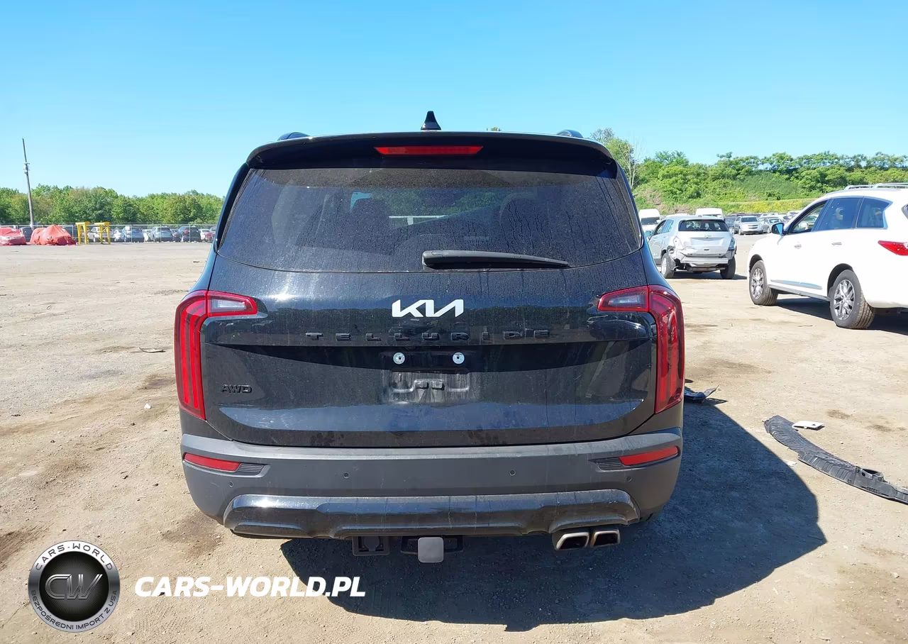 2022 Kia Telluride Sx VIN:5XYP5DHC8NG296344 - 17