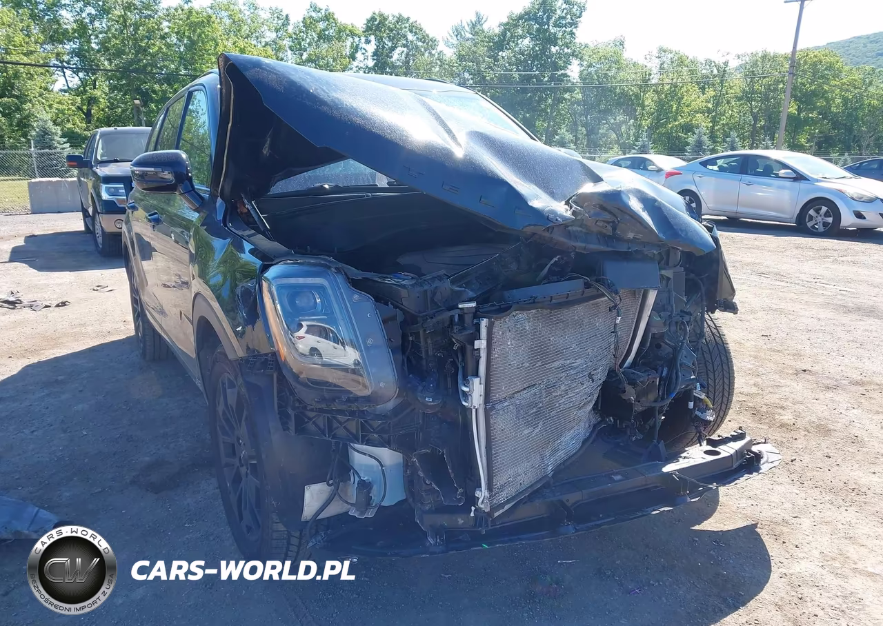 2022 Kia Telluride Sx VIN:5XYP5DHC8NG296344 - 18