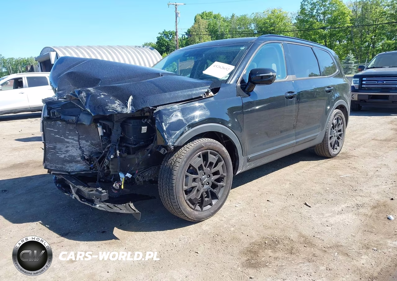 2022 Kia Telluride Sx VIN:5XYP5DHC8NG296344 - 2