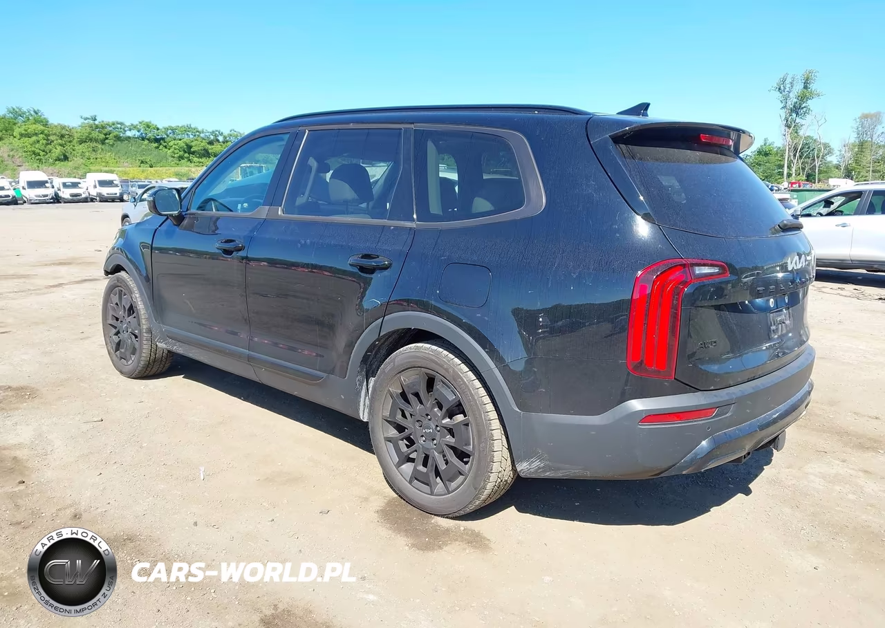 2022 Kia Telluride Sx VIN:5XYP5DHC8NG296344 - 3