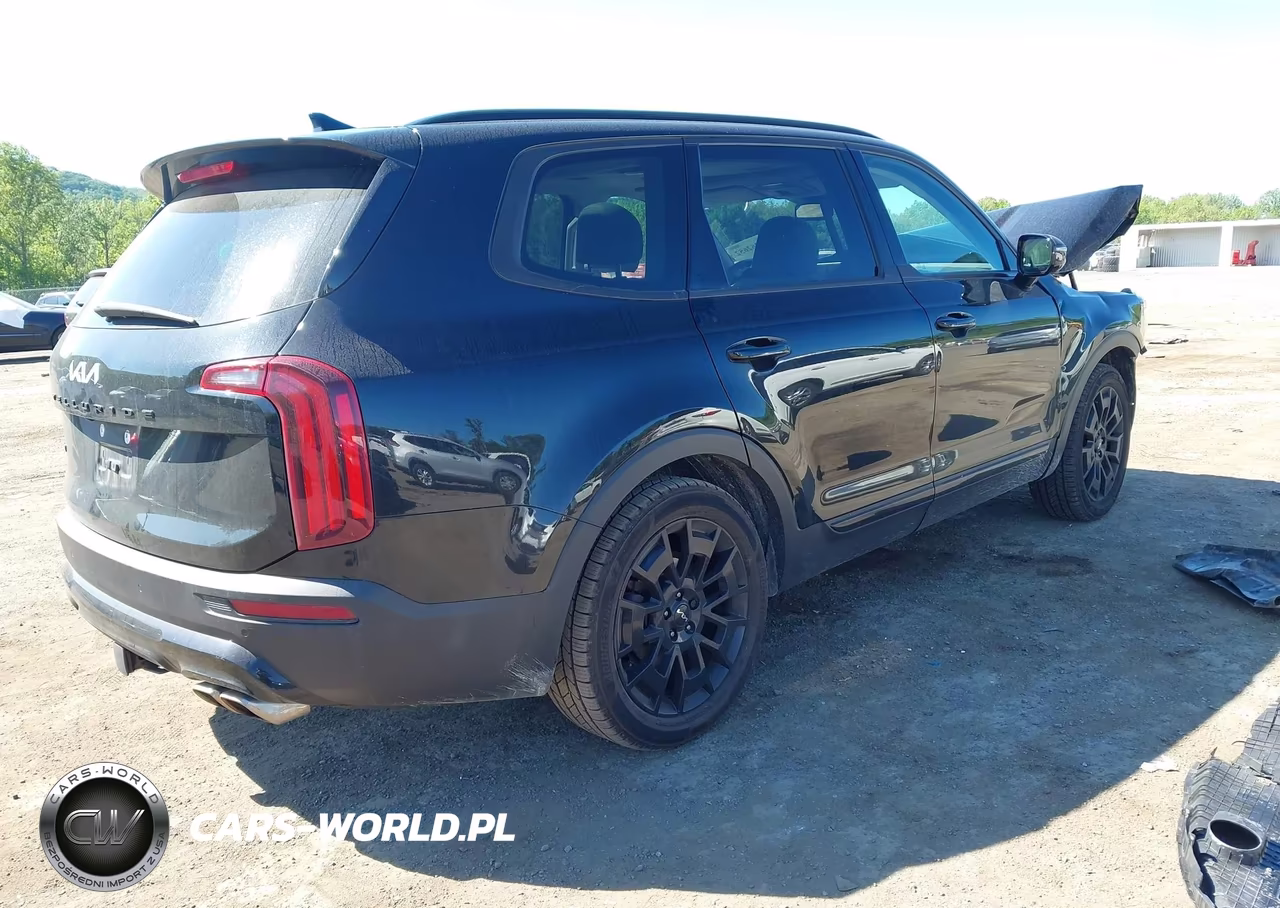 2022 Kia Telluride Sx VIN:5XYP5DHC8NG296344 - 4