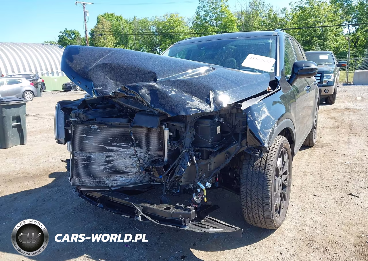 2022 Kia Telluride Sx VIN:5XYP5DHC8NG296344 - 6
