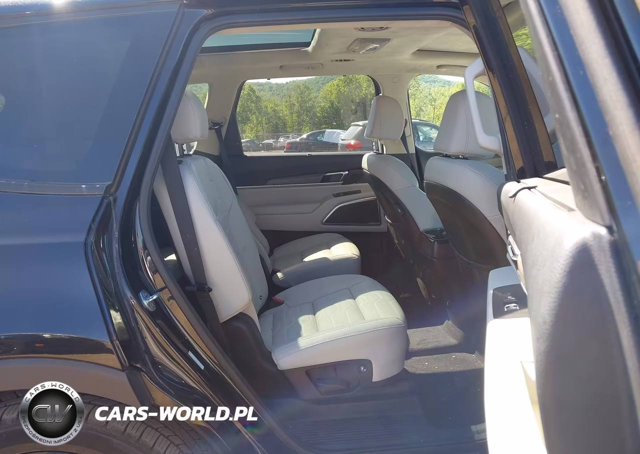 2022 Kia Telluride Sx VIN:5XYP5DHC8NG296344 - 8