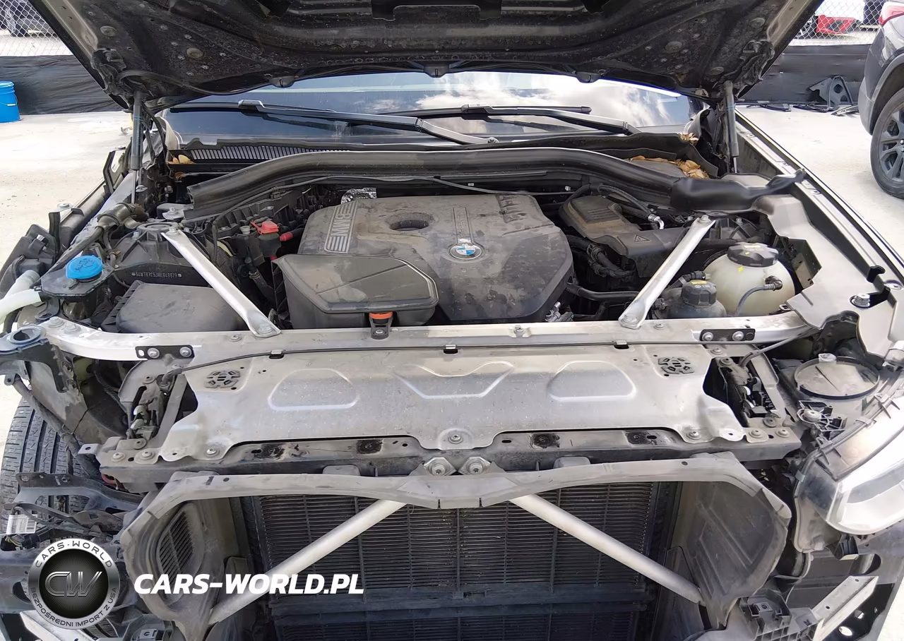 2019 BMW X3 Sdrive30I VIN:5UXTR7C53KLR49979 - 10