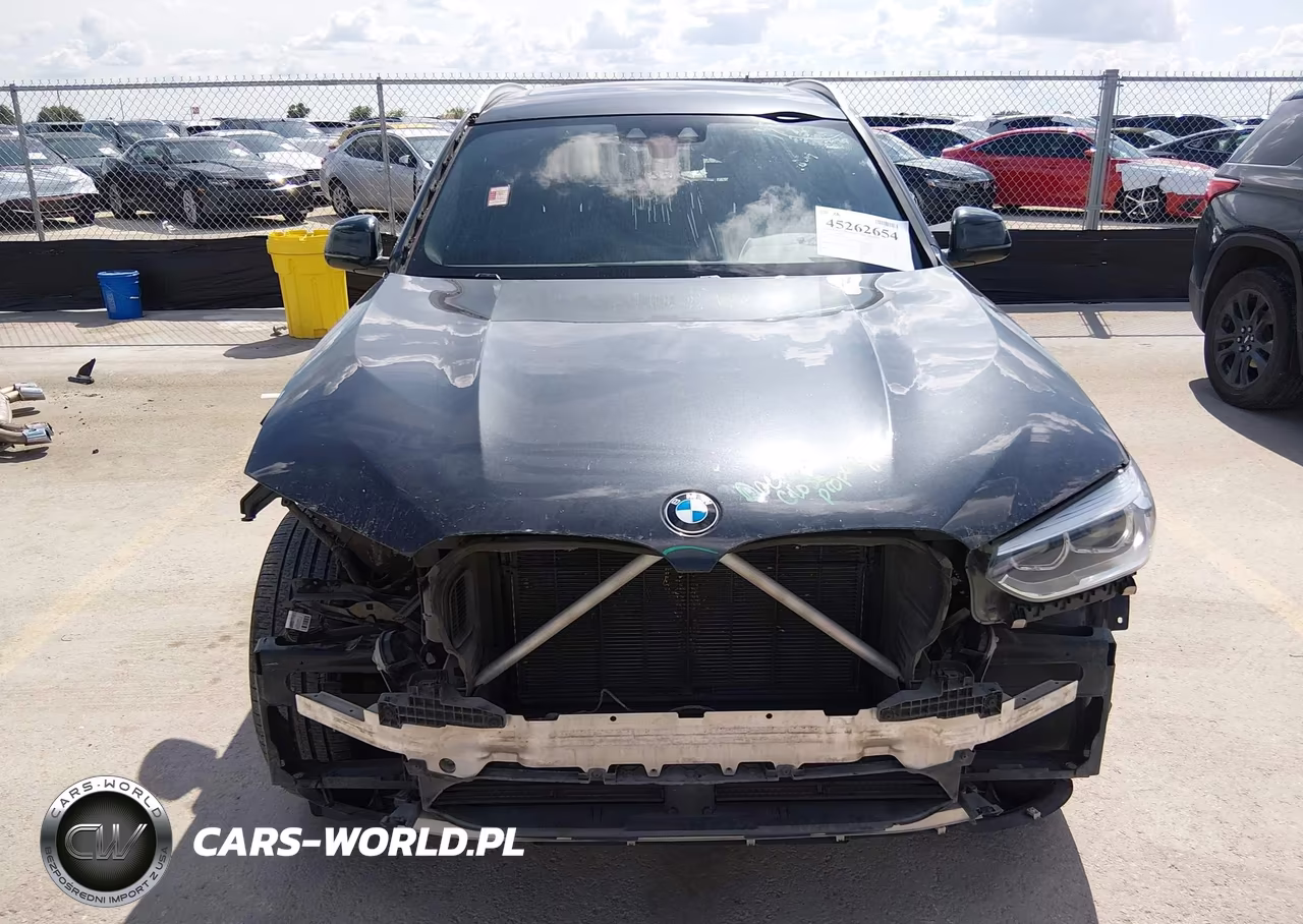 2019 BMW X3 Sdrive30I VIN:5UXTR7C53KLR49979 - 13
