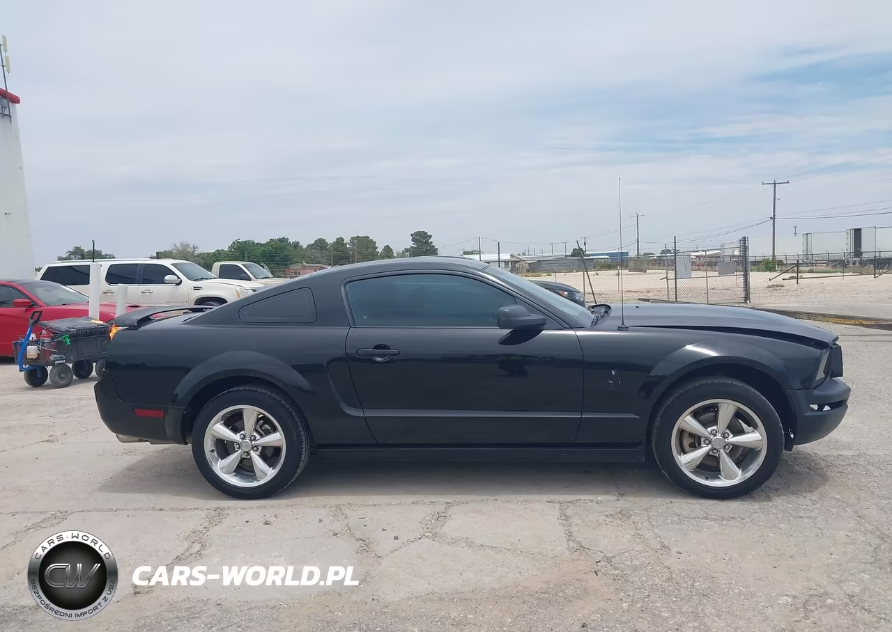 2009 Ford Mustang Gt-Gt Premium VIN:1ZVHT82H295146795 - 13