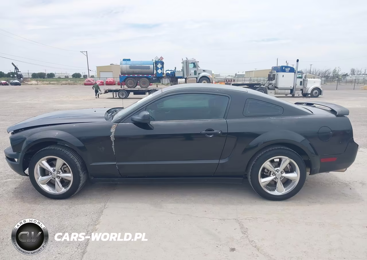 2009 Ford Mustang Gt-Gt Premium VIN:1ZVHT82H295146795 - 14