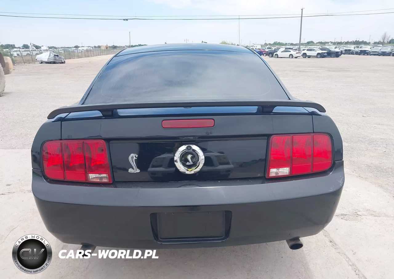 2009 Ford Mustang Gt-Gt Premium VIN:1ZVHT82H295146795 - 16