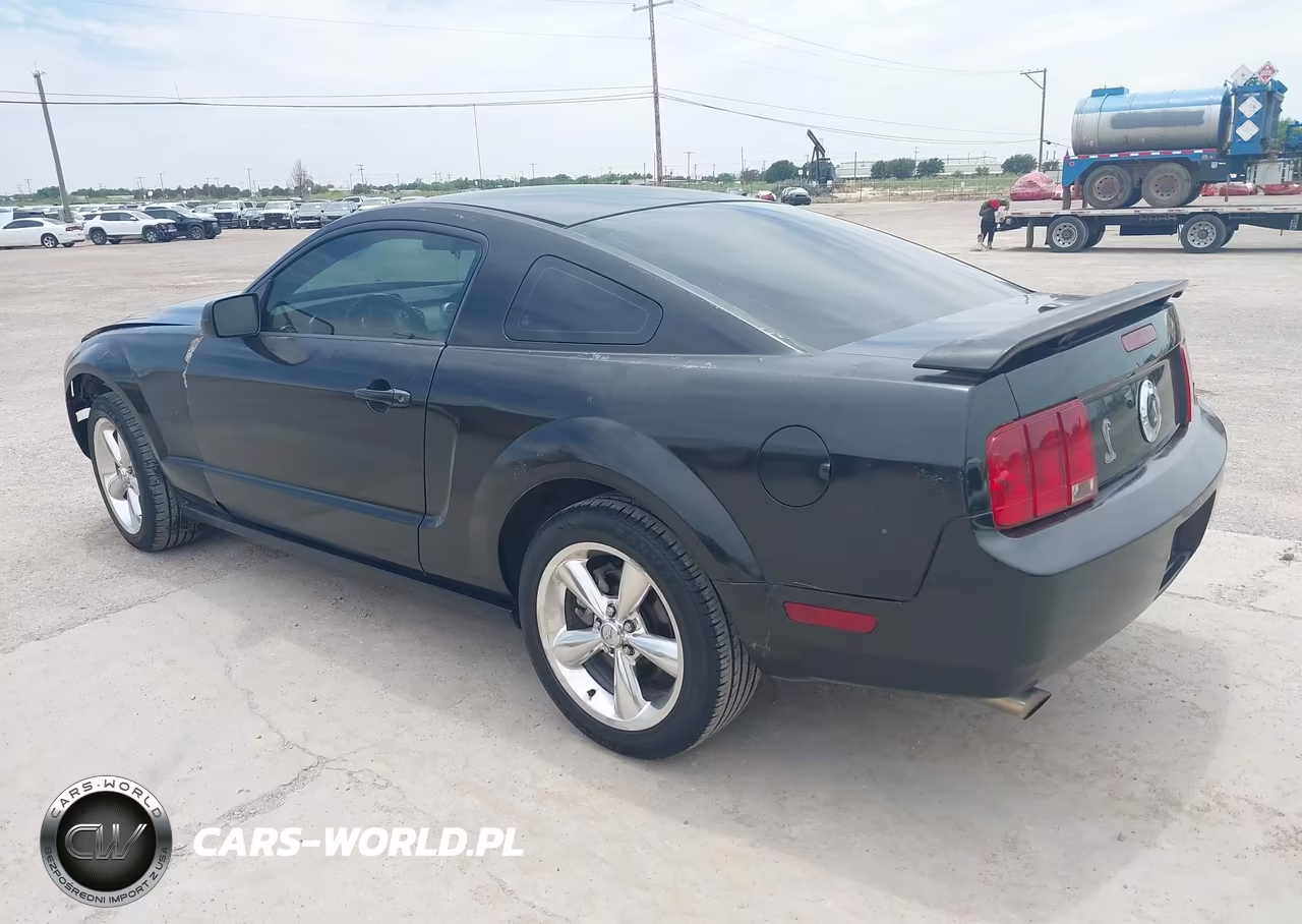 2009 Ford Mustang Gt-Gt Premium VIN:1ZVHT82H295146795 - 3