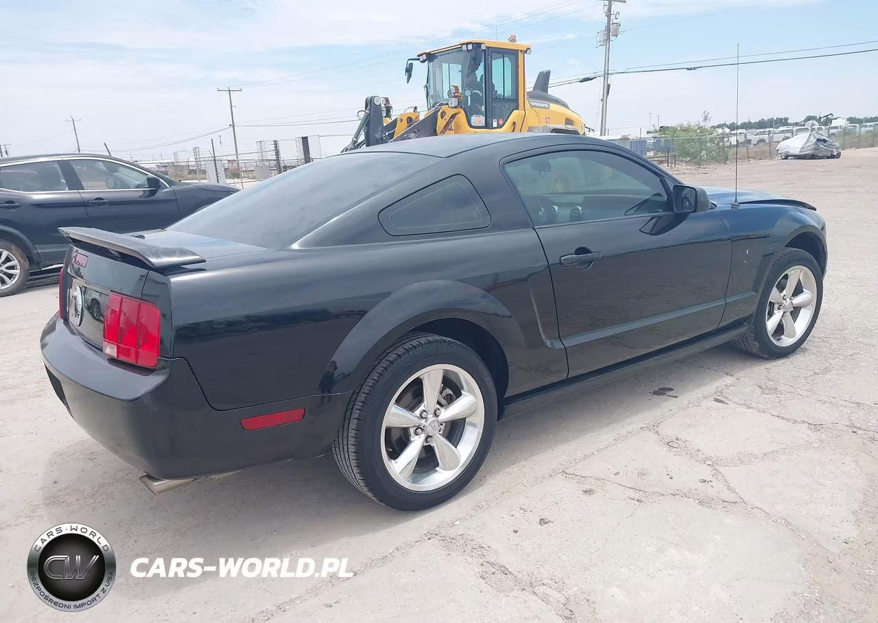 2009 Ford Mustang Gt-Gt Premium VIN:1ZVHT82H295146795 - 4