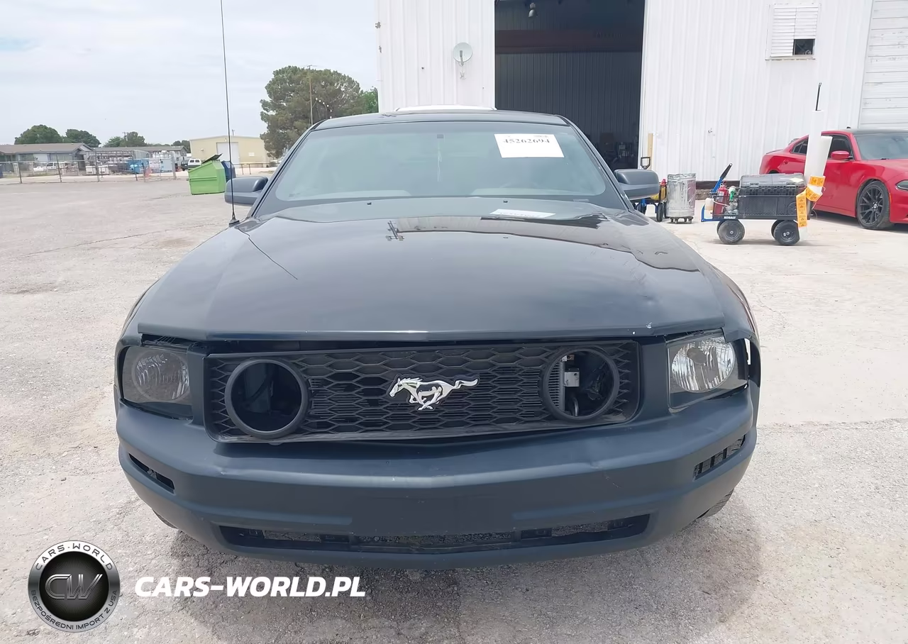 2009 Ford Mustang Gt-Gt Premium VIN:1ZVHT82H295146795 - 6