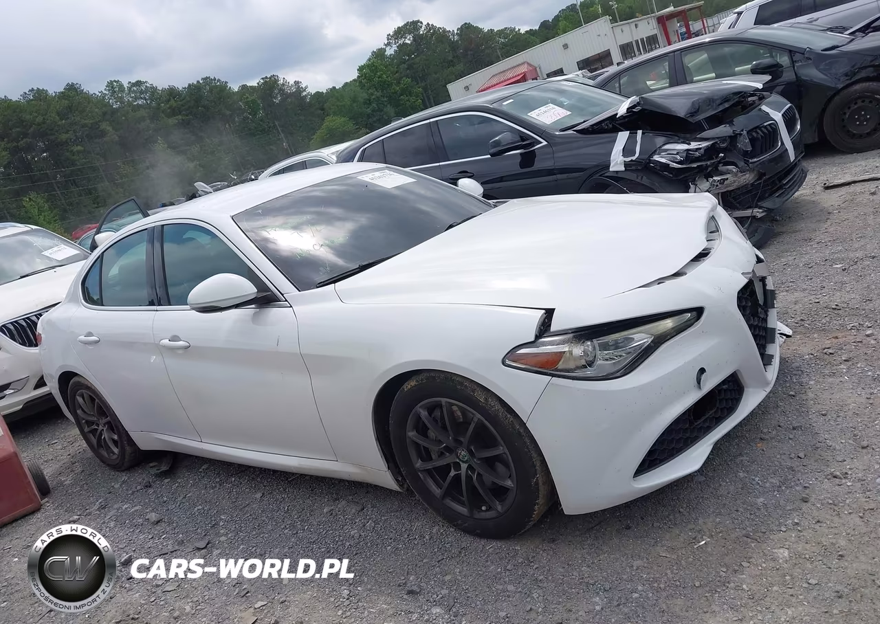 2019 Alfa Romeo Giulia Rwd VIN:ZARFAMAN6K7609649 - 13