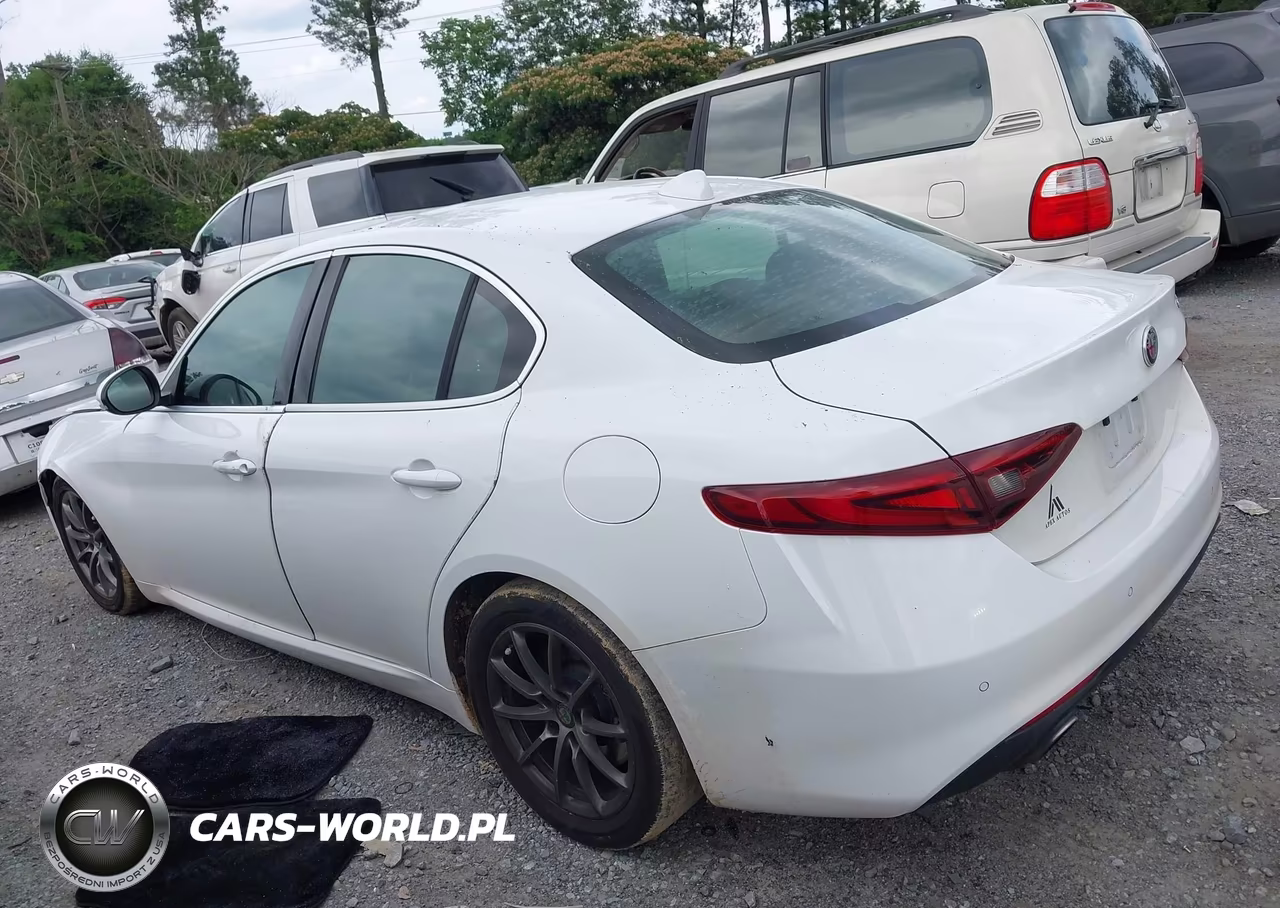 2019 Alfa Romeo Giulia Rwd VIN:ZARFAMAN6K7609649 - 14