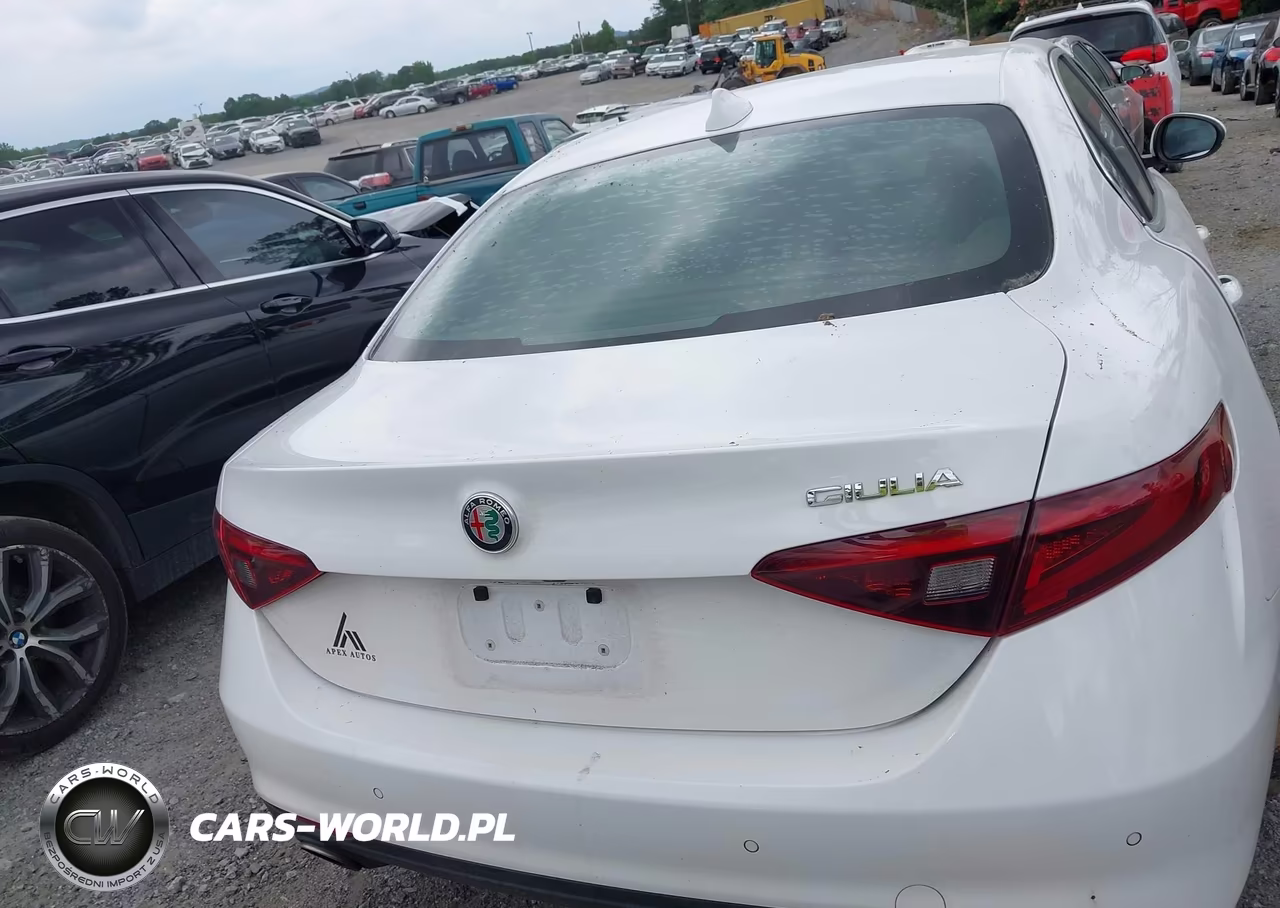 2019 Alfa Romeo Giulia Rwd VIN:ZARFAMAN6K7609649 - 16