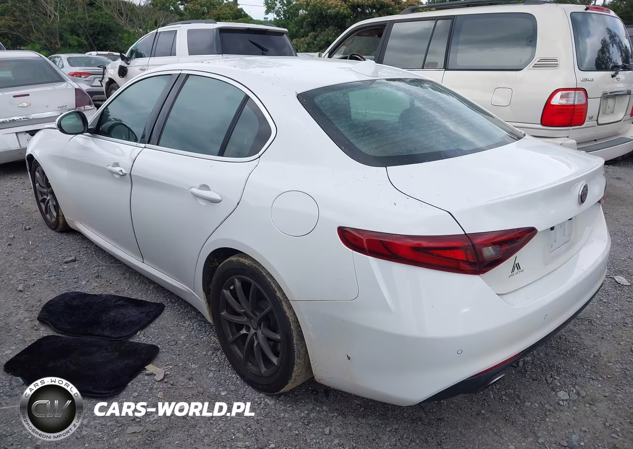 2019 Alfa Romeo Giulia Rwd VIN:ZARFAMAN6K7609649 - 3