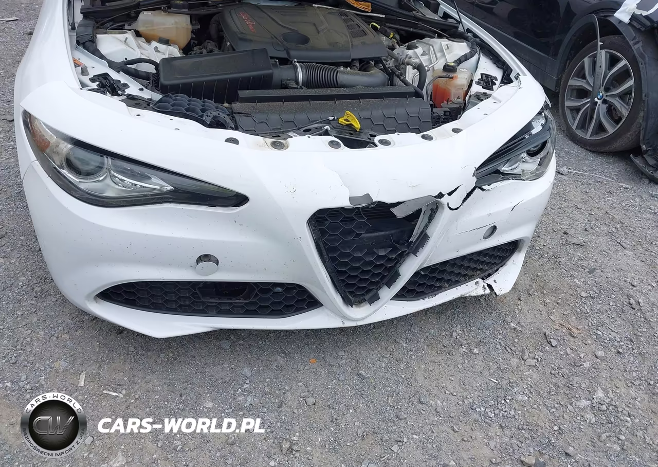 2019 Alfa Romeo Giulia Rwd VIN:ZARFAMAN6K7609649 - 6