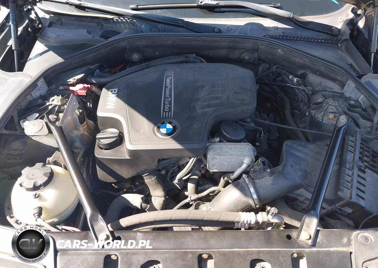 2014 BMW 528I xDrive VIN:WBA5A7C5XED612870 - 10