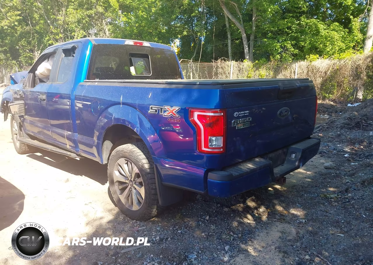 2017 Ford F-150 Xl VIN:1FTEX1EP3HFB37987 - 3