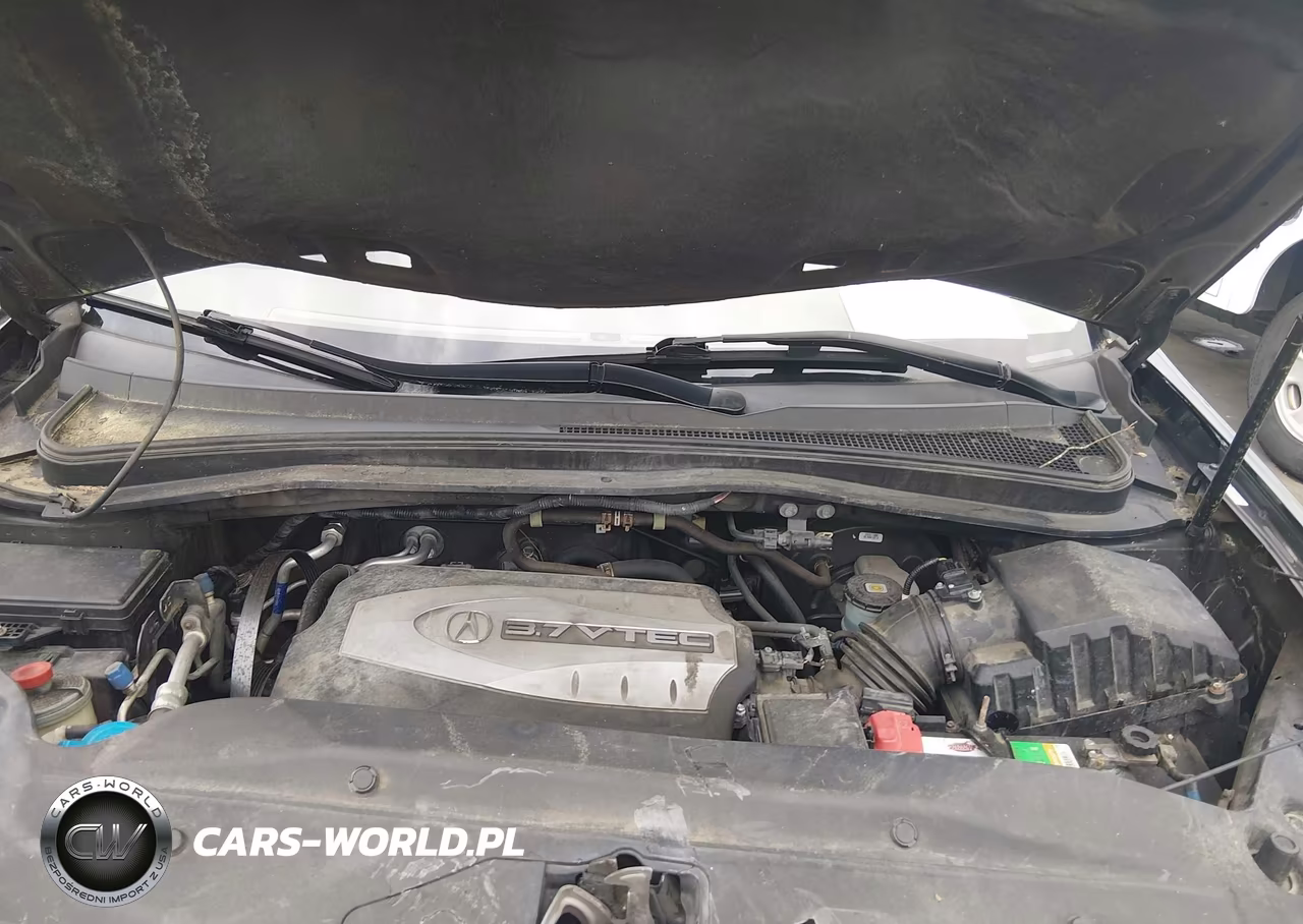 2009 Acura Mdx Technology Package VIN:2HNYD28689H501359 - 10