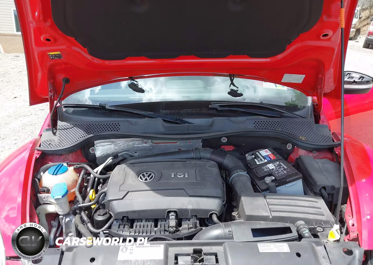 2014 Volkswagen Beetle 2.0T R-Line VIN:3VWVT7AT2EM613981 - 10