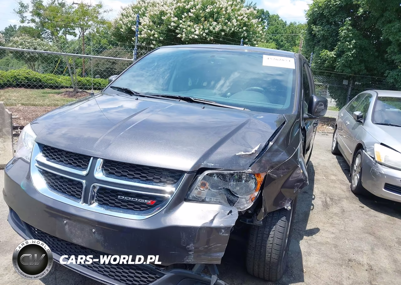 2014 Dodge Grand Caravan Se 30Th Anniversary VIN:2C4RDGBG1ER459310 - 12
