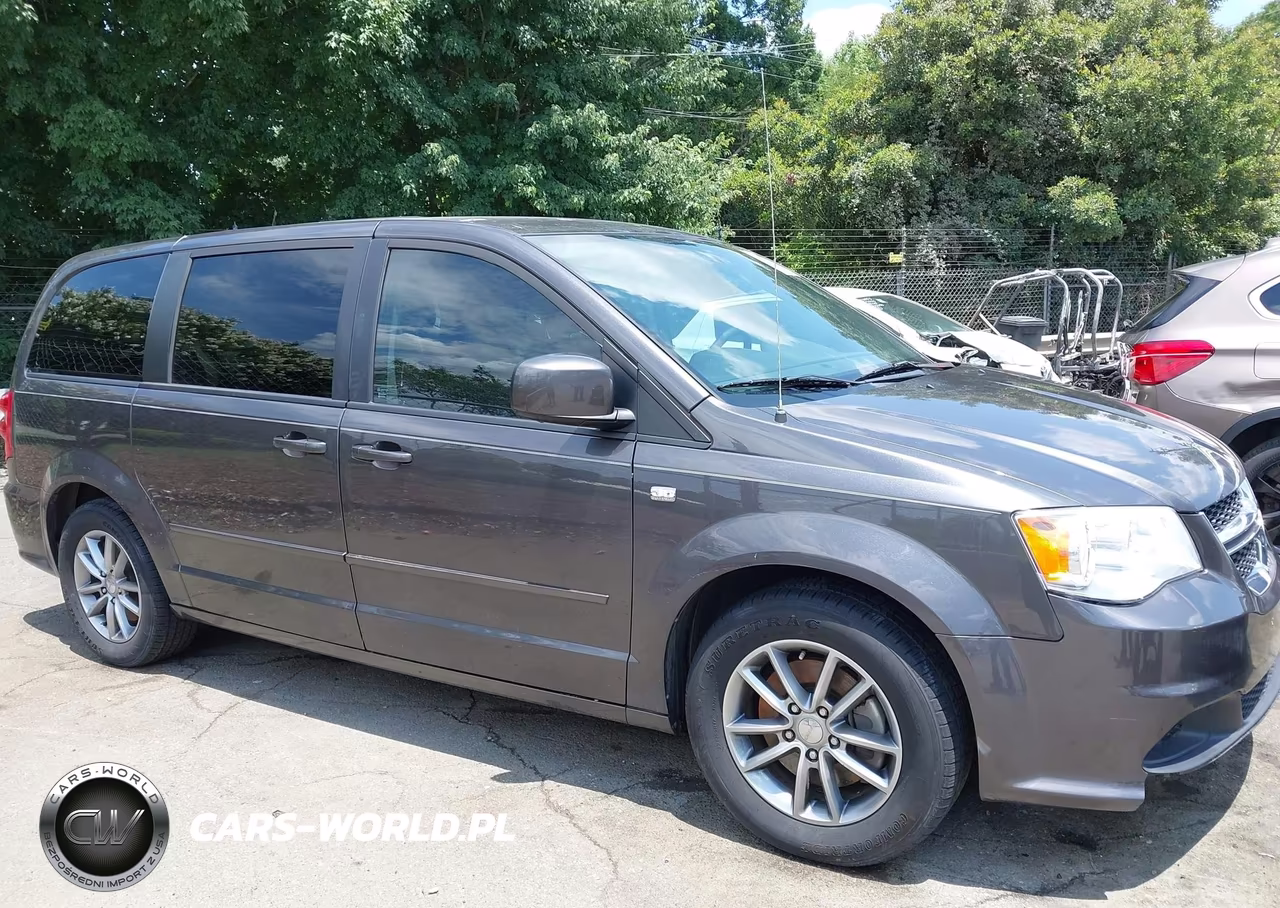 2014 Dodge Grand Caravan Se 30Th Anniversary VIN:2C4RDGBG1ER459310 - 13