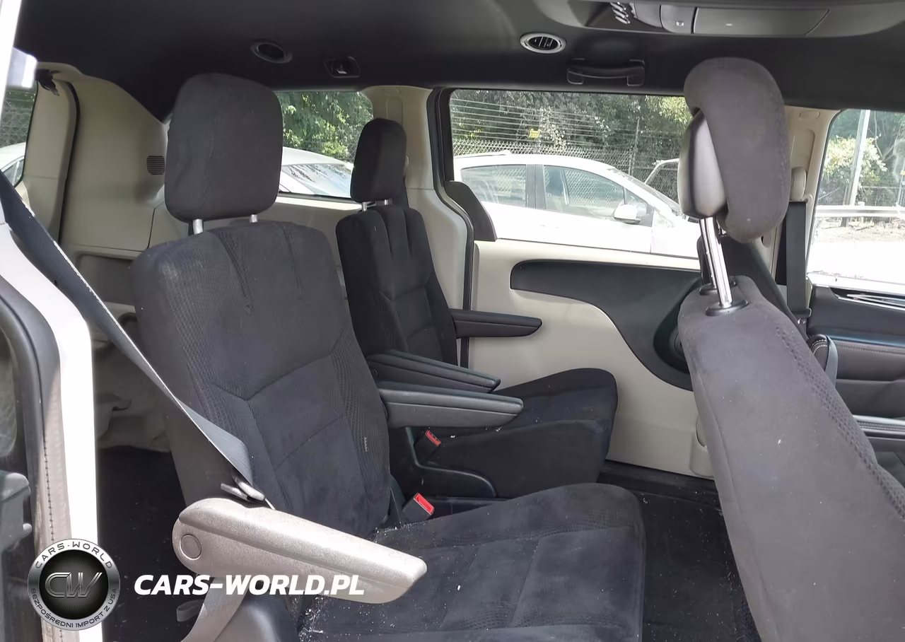 2014 Dodge Grand Caravan Se 30Th Anniversary VIN:2C4RDGBG1ER459310 - 8