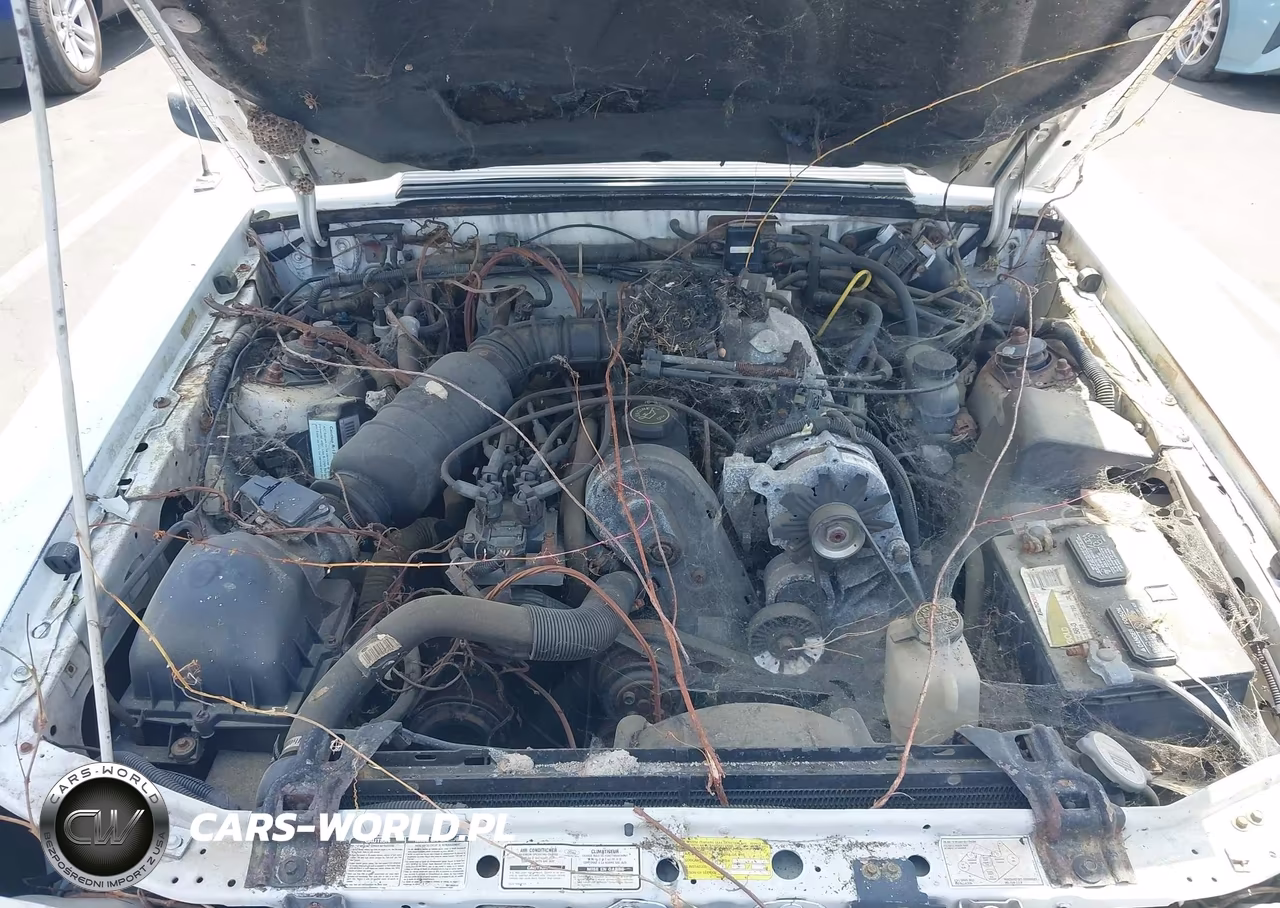 1993 Ford Mustang Lx VIN:1FACP44M4PF128106 - 10