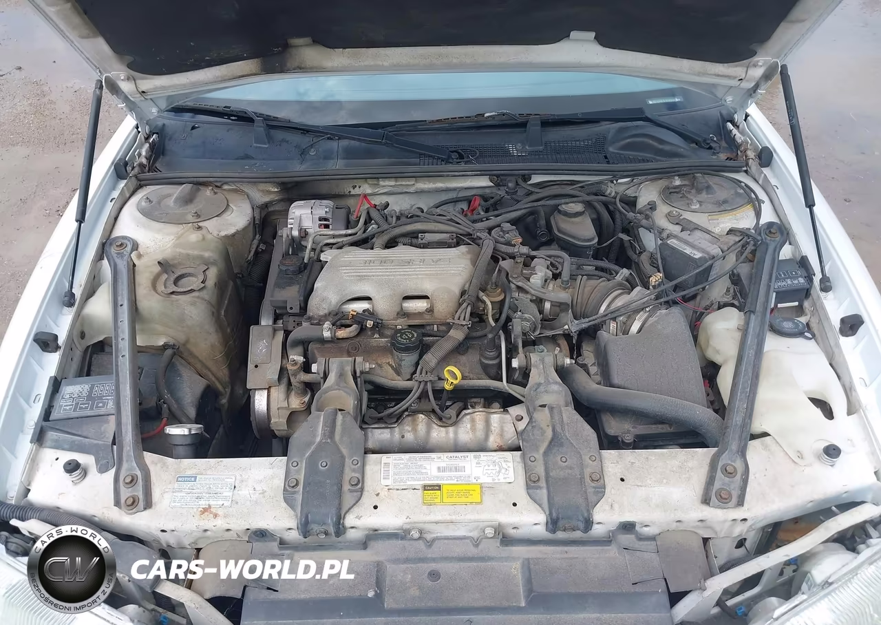1996 Chevrolet Lumina VIN:2G1WL52M7T1133094 - 10