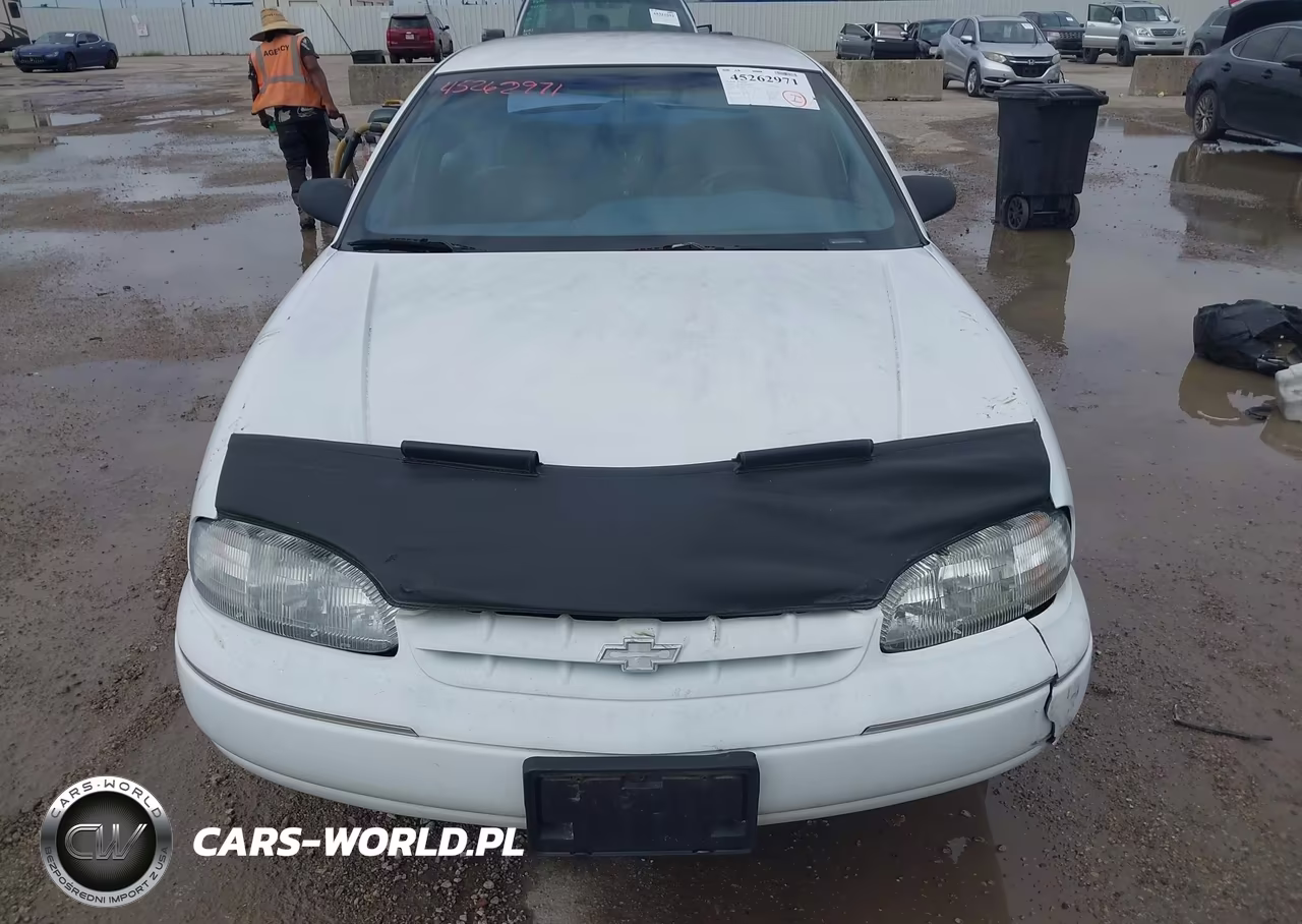 1996 Chevrolet Lumina VIN:2G1WL52M7T1133094 - 12