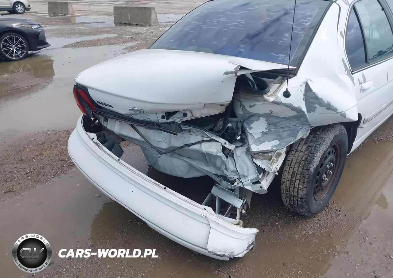 1996 Chevrolet Lumina VIN:2G1WL52M7T1133094 - 6