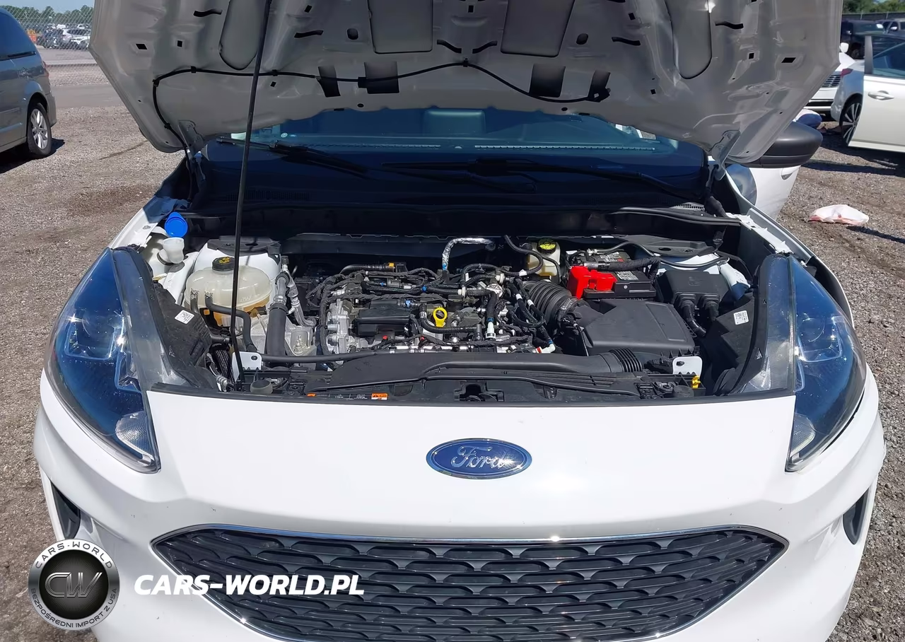 2022 Ford Escape Se VIN:1FMCU0G62NUB54880 - 10
