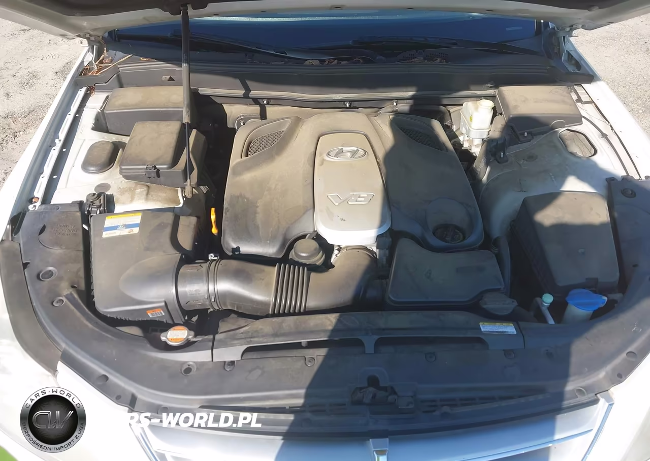 2011 Hyundai Genesis 4.6 VIN:KMHGC4DF1BU116133 - 10