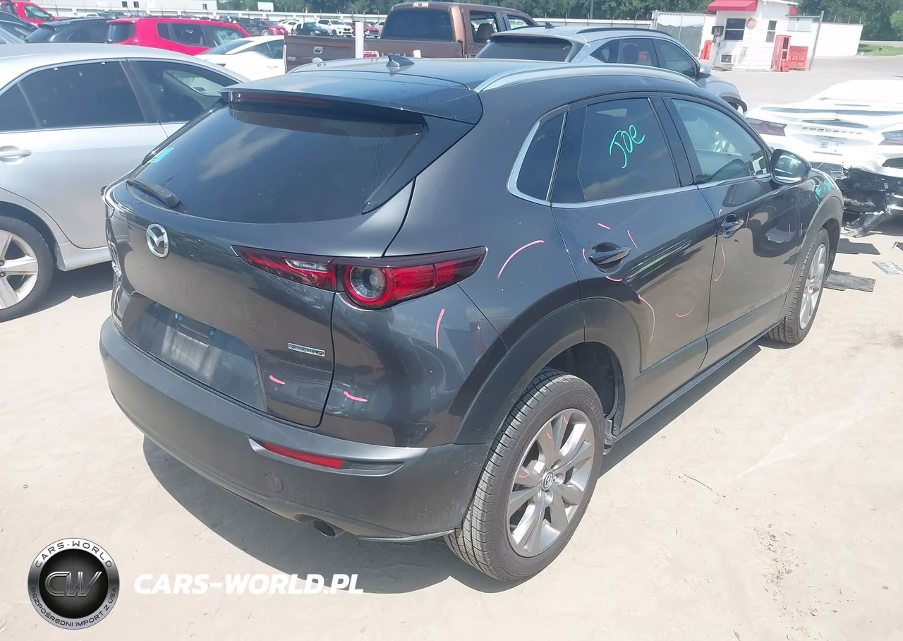 2020 Mazda Cx-30 Premium Package VIN:3MVDMAEM7LM128985 - 4