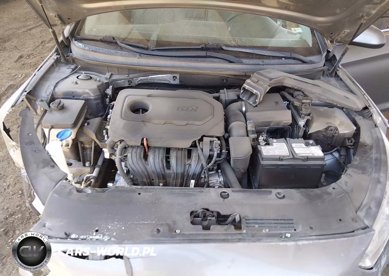 2019 Hyundai Sonata Se VIN:5NPE24AF6KH796124 - 10