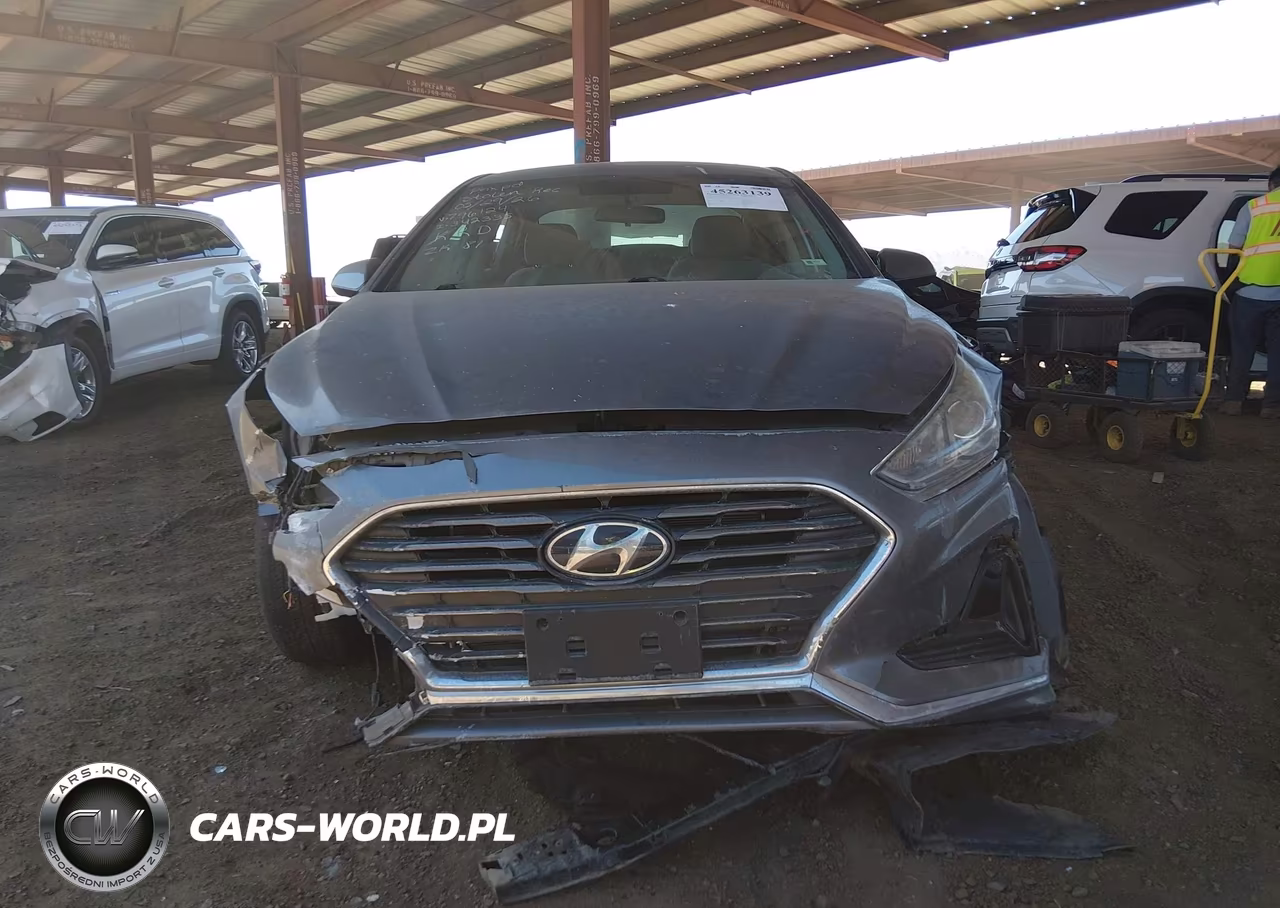 2019 Hyundai Sonata Se VIN:5NPE24AF6KH796124 - 12