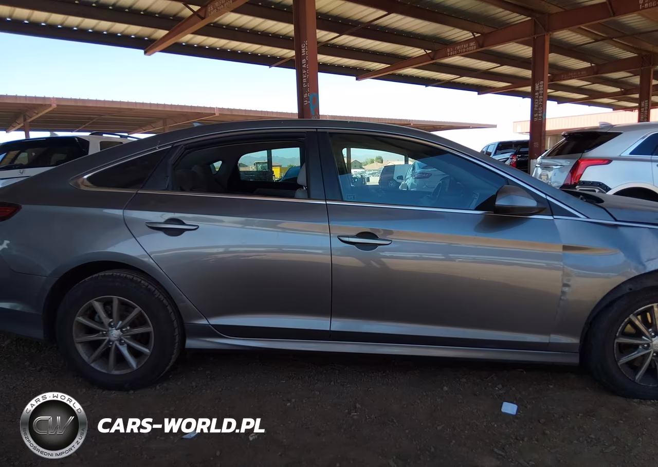 2019 Hyundai Sonata Se VIN:5NPE24AF6KH796124 - 13