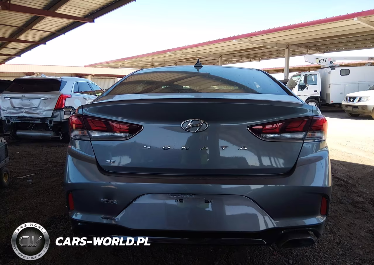 2019 Hyundai Sonata Se VIN:5NPE24AF6KH796124 - 16